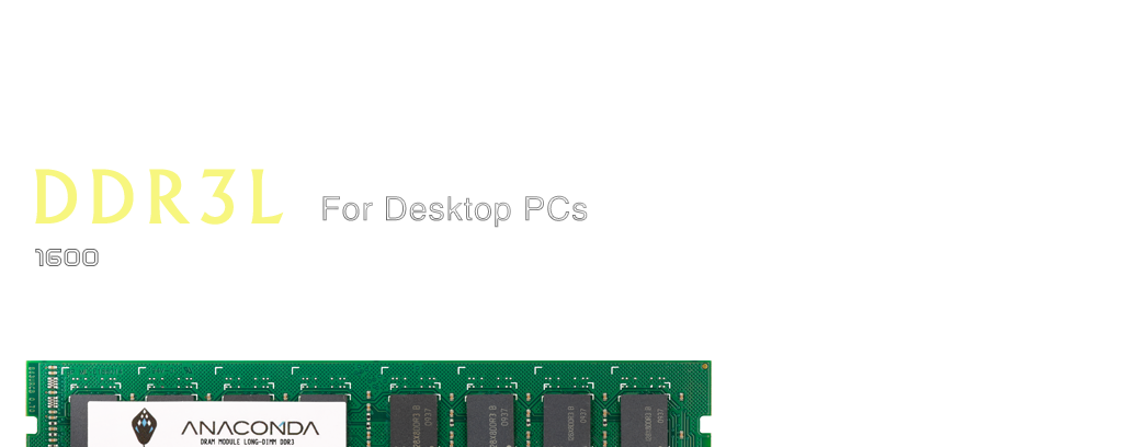 DDR3L Memory MODULES