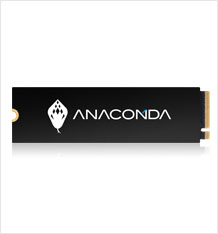 M.2 PCIe SSD