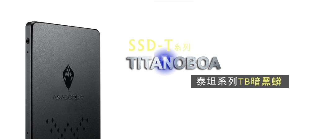 SSD-TS