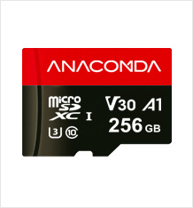 Micro SDXC 記憶卡